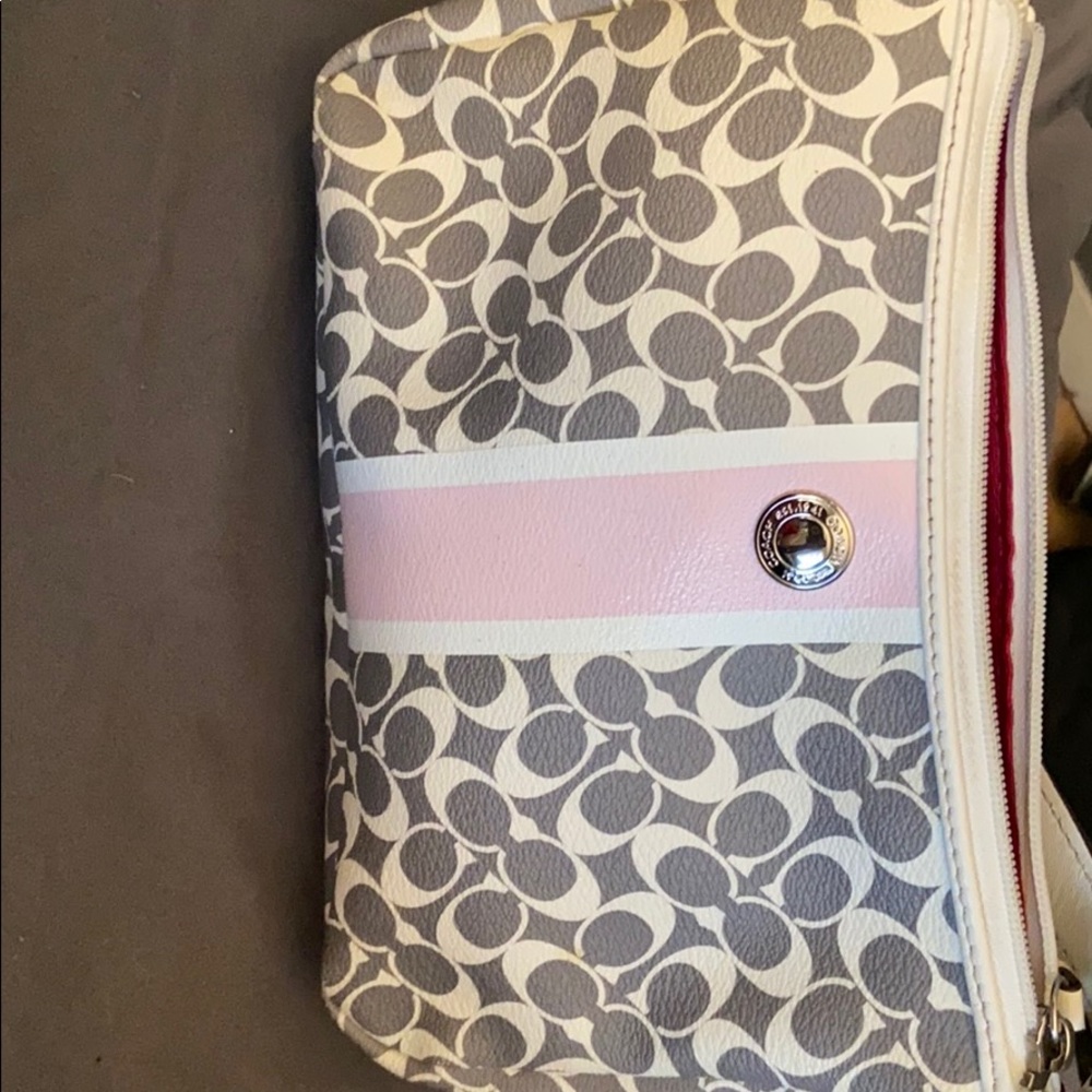 Cute small Coach Purse